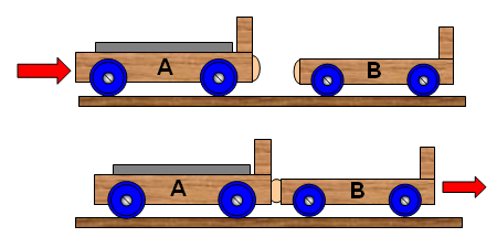 download the structure of