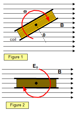 Rotation Magnets - Size L