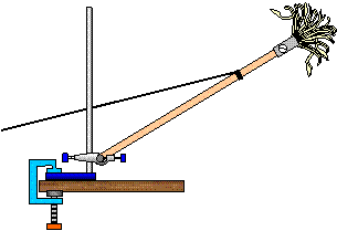 Mop and back muscles image